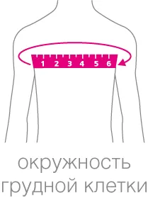 grudnaya-kletka_m.png