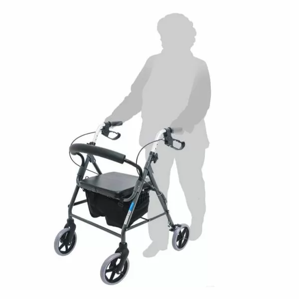 Ходунки-роллаторы Barry R Euro